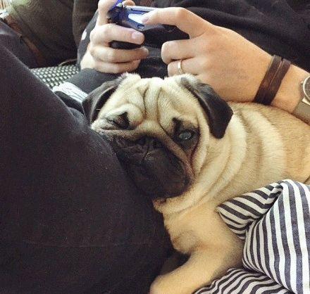 巴哥爆料角色视频大全,角色视频大全精彩瞬间大盘点 第1张 巴哥爆料角色视频大全,角色视频大全精彩瞬间大盘点 第1张